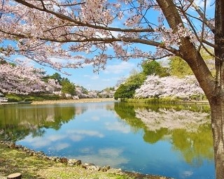 グルメにお花見！週末はさいたま新都心エリアで遊ぼう