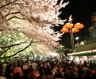 地上35mからのお花見！としまえんの“桜まつり”