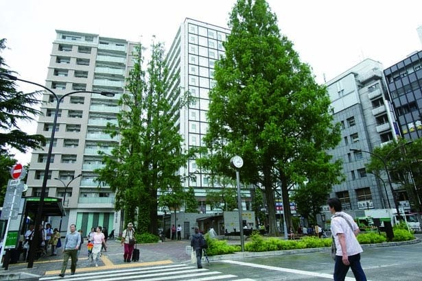 阿佐ケ谷駅南口前の広場は、ベンチもあり、阿佐ヶ谷住民の憩いの場として親しまれている