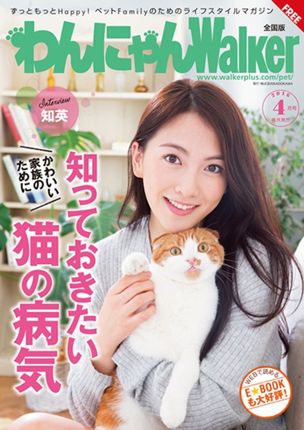 愛猫を守るために！知っておきたい猫の病気
