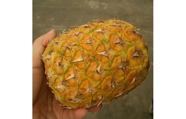 ミンダナオ島で出会ったゴールデンパイン。鮮やかな黄色になったちょうどよい熟成のパインにこだわった