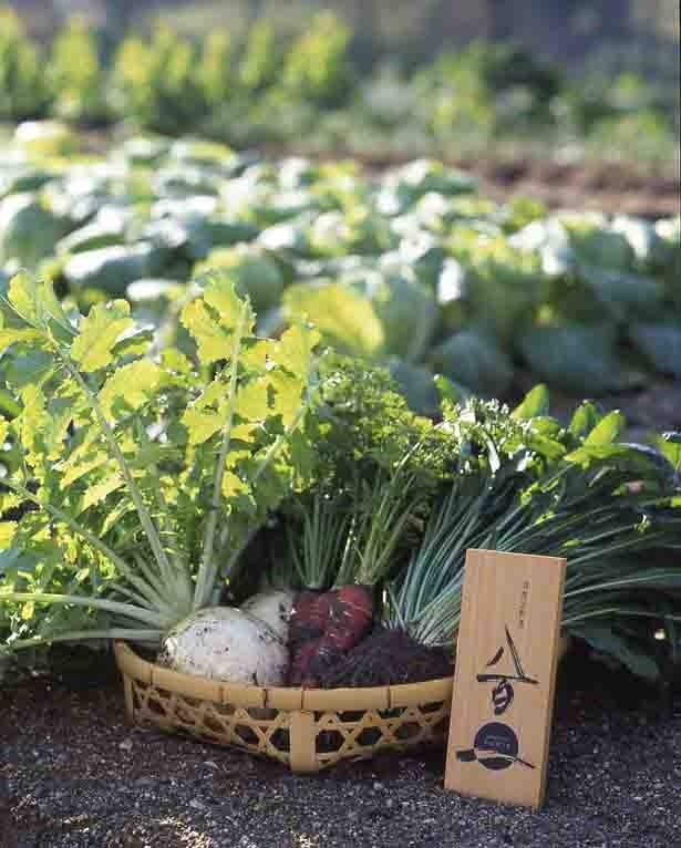 青果の「京都 八百一」は新鮮な野菜の数々がそろう