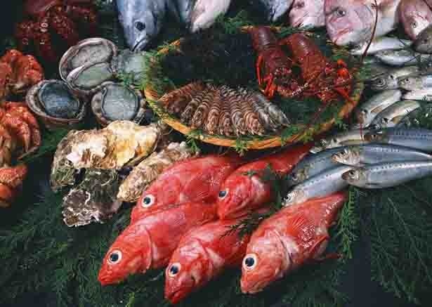 神奈川県初出店の「魚耕」は東京杉並を拠点とする人気の鮮魚専門店。