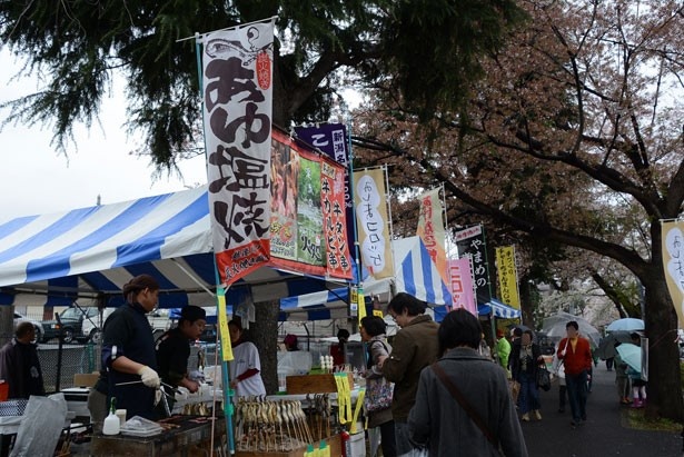 桜を眺めながら味わうグルメは、格別のおいしさ！