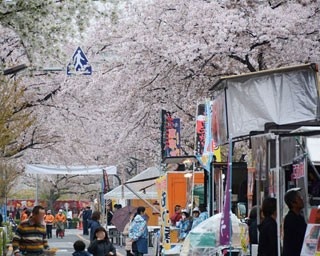 都内の穴場花見スポット！狛江で絶景“桜ロード”を堪能