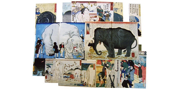 カラフルで見た目も楽しい｢象に関する版画 摺物コレクション｣は63枚で最低落札価格200万円