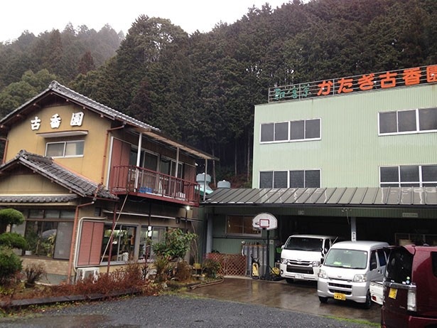 かたぎ古香園では、煎茶に加え紅茶も生産している