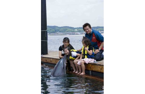 イルカのキスにちびっ子も大喜び！