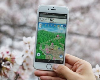 京都の桜名所がまるわかり！手軽に使えるスマホ桜マップ