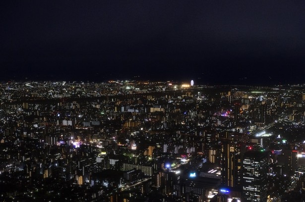 東京湾方面には、葛西臨海公園の観覧車が見える