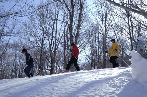 ゴールデンウィーク限定のアクティビティも用意。スノーシューで春の雪原散策が楽しめる