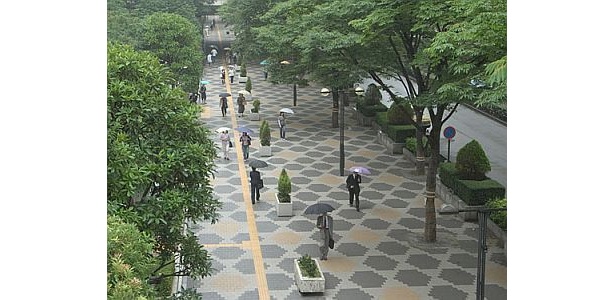 今年も街はこんな光景に？