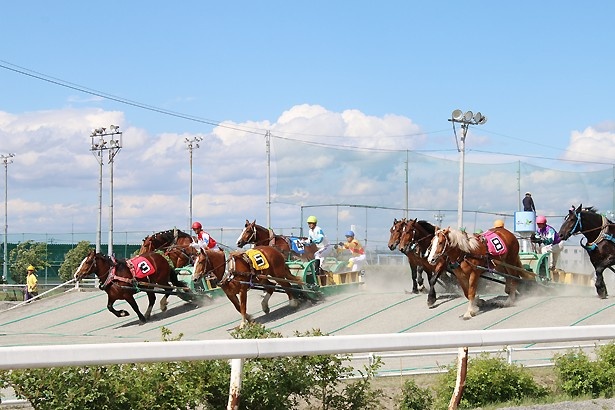 世界で唯一の「ばんえい競馬」が楽しめる、帯広の競馬場