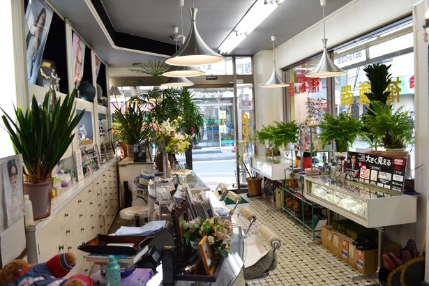 植物も多く飾られ、明るく清潔感のある店内(「京成小岩メガネサロン」)