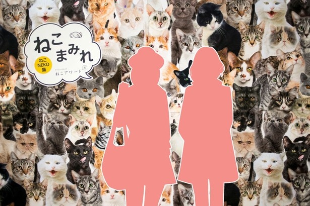 【写真を見る】ネコまみれになれる巨大フォトスポットが出現！