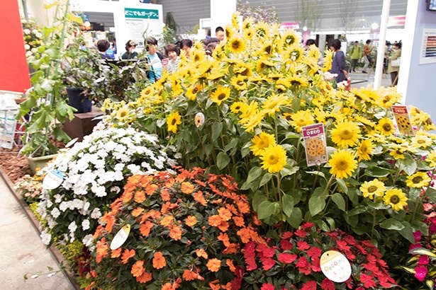 会場には花がいっぱい！