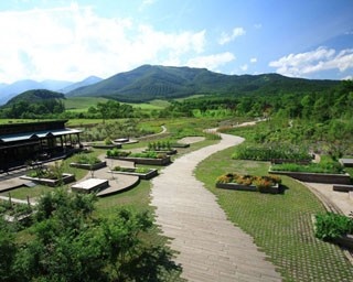 「十勝千年の森」で北海道の春ならではの景色を満喫