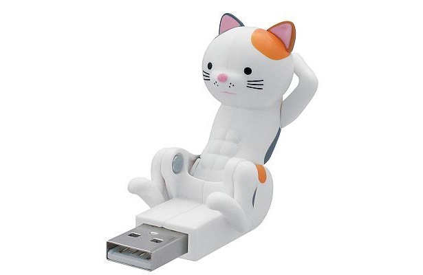 割れた腹筋が自慢の「腹筋にゃんこミケ」