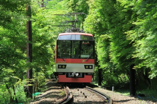 緑に輝くもみじのトンネルを徐行運転。粋な計らいだ