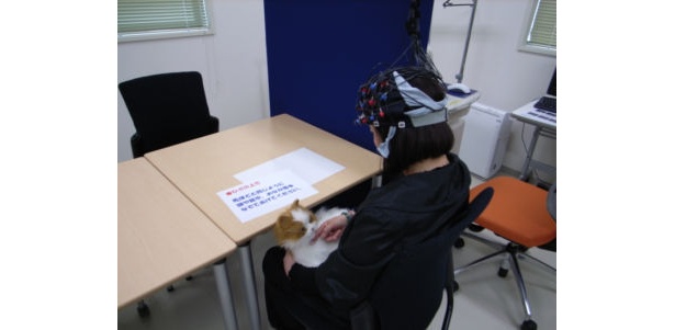 大学の研究で、ひざの上で触ったときに脳の活性化が確認されたという報告も