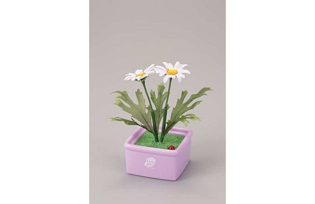 マーガレットは双子の花で、納得すると“ごもっとも”とうなずいてくれる