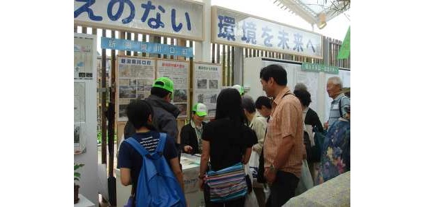 簡単なクイズに答えて、苗木をもらおう！