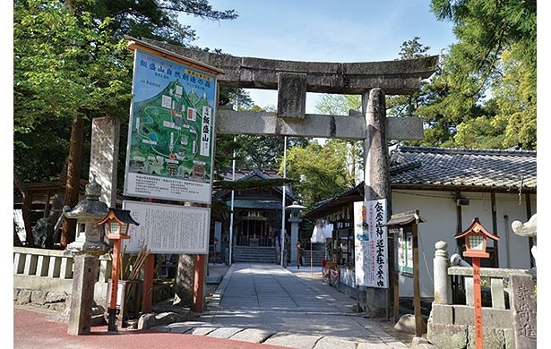 アジサイが美しい飯盛山でお気軽ハイキング ウォーカープラス