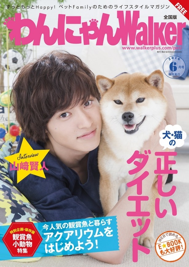 正しいダイエットで愛犬・愛猫の健康を守ろう！