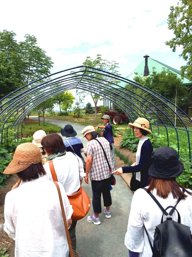 ワークショップの「ガーデンツアー」では、園内を十勝ヒルズのガーデナーと一緒に散策しながら花について学ぶことができる