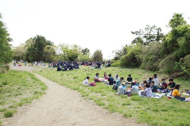 山道を抜けて開けた場所が見えたら、そこが大平山の頂上。ゆったり休める大きな広場もある