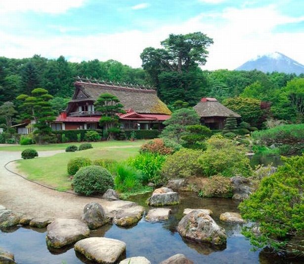 「花の都公園」にはもうすぐキカラシ（6月中旬ごろ）・ポピー（6月下旬ごろ）が咲く