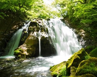 医学会も注目？キレイになる天然炭酸温泉に浸かる