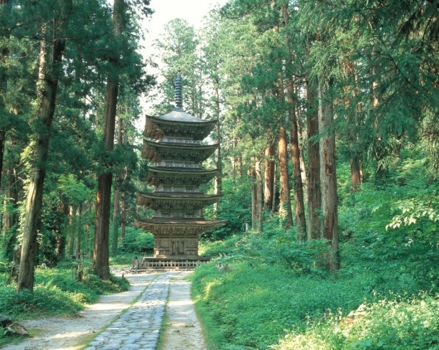 羽黒山の山中にある、国宝の五重塔