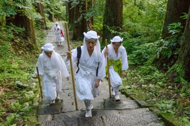 羽黒山には2,446段の石段が続く。山伏になった気分で登ろう