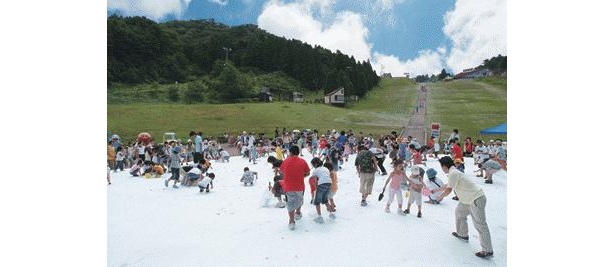六甲山で恒例の「真夏の雪祭り」開催！