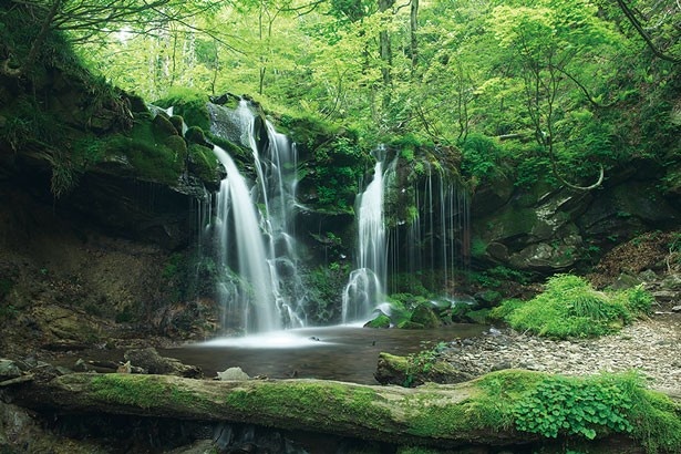 苔むした岩から落ちる水筋は何とも神秘的/兵庫・新温泉町「猿壺の滝」