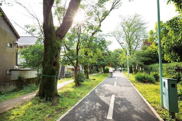 画像1 7 公園や緑道も 花小金井は自然あふれるスポットが満載 ウォーカープラス