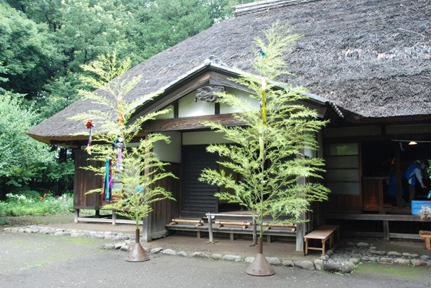 6月29日(水)～7月7日(木)の期間中、園内各所に七夕の笹飾りを展示。短冊に願い事を書いて飾り付けができる（「江戸東京たてもの園」）