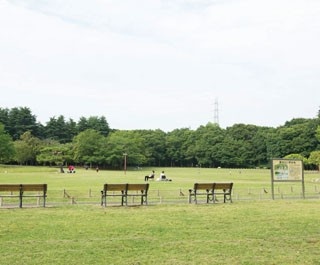 公園や緑道も！花小金井は自然あふれるスポットが満載