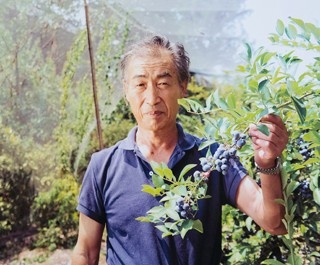 花小金井のブルーベリー農園で摘み取り体験！