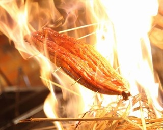わら焼きが名物の本格土佐料理店が北新地に初登場！