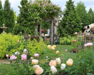 「食べるバラ」の畑がある恵庭のテーマパーク