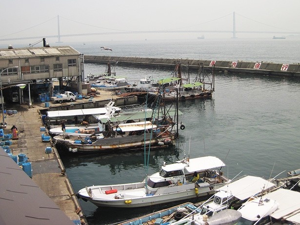 【写真を見る】明石海峡大橋を望む明石浦漁港