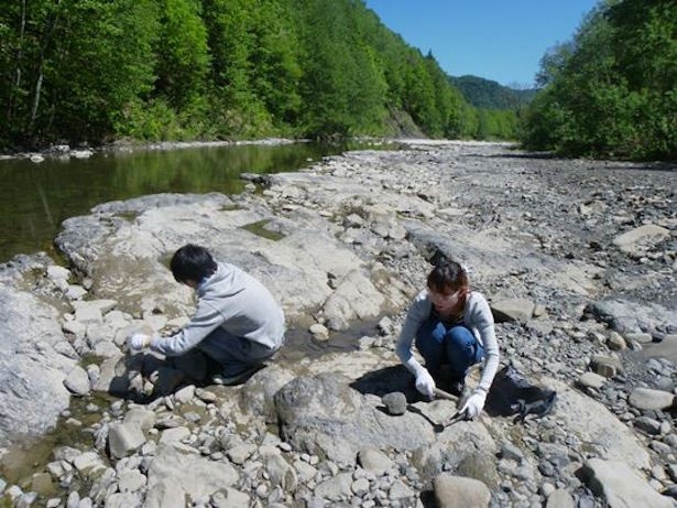 北海道の化石の宝庫と言われる富良野西部にある夕張山地で化石の発掘を楽しもう！