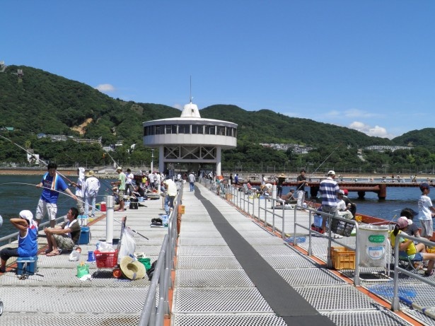 親子で遊べる海釣り公園で人生初の釣り体験 ウォーカープラス