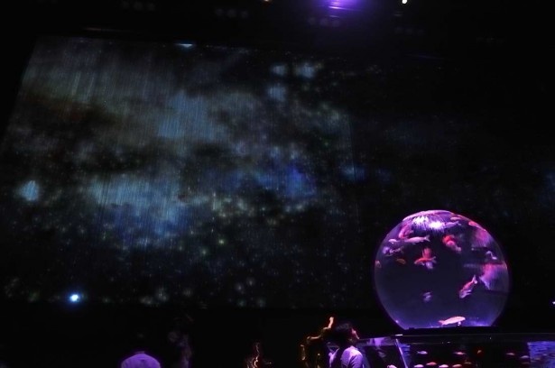 直径約1.5mの球体の中を錦鯉が泳ぐ「アースアクアリウム・ジャポニズム」と宇宙空間が融合した「Beautiful Japan Universe」