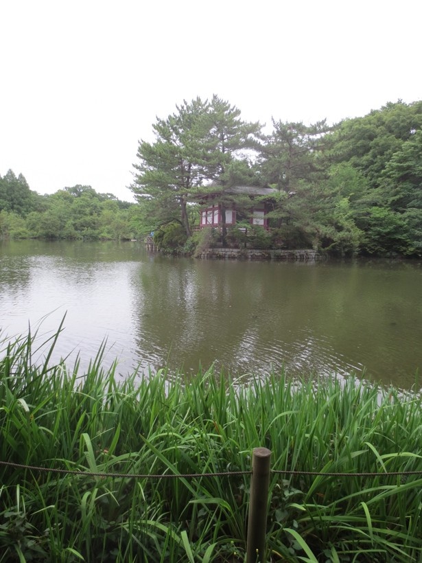 奥に見える厳島神社のほか、石神井城跡も残る(「石神井公園」)