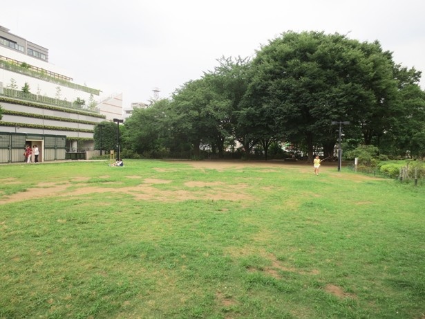 練馬駅前にある、原っぱが広がる平成つつじ公園