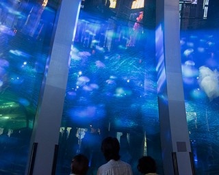 夕方5時からのシーパラダイスは光の楽園！