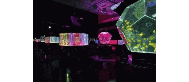六本木の夜空を魚が泳ぐ!?“天空の水族館”誕生！